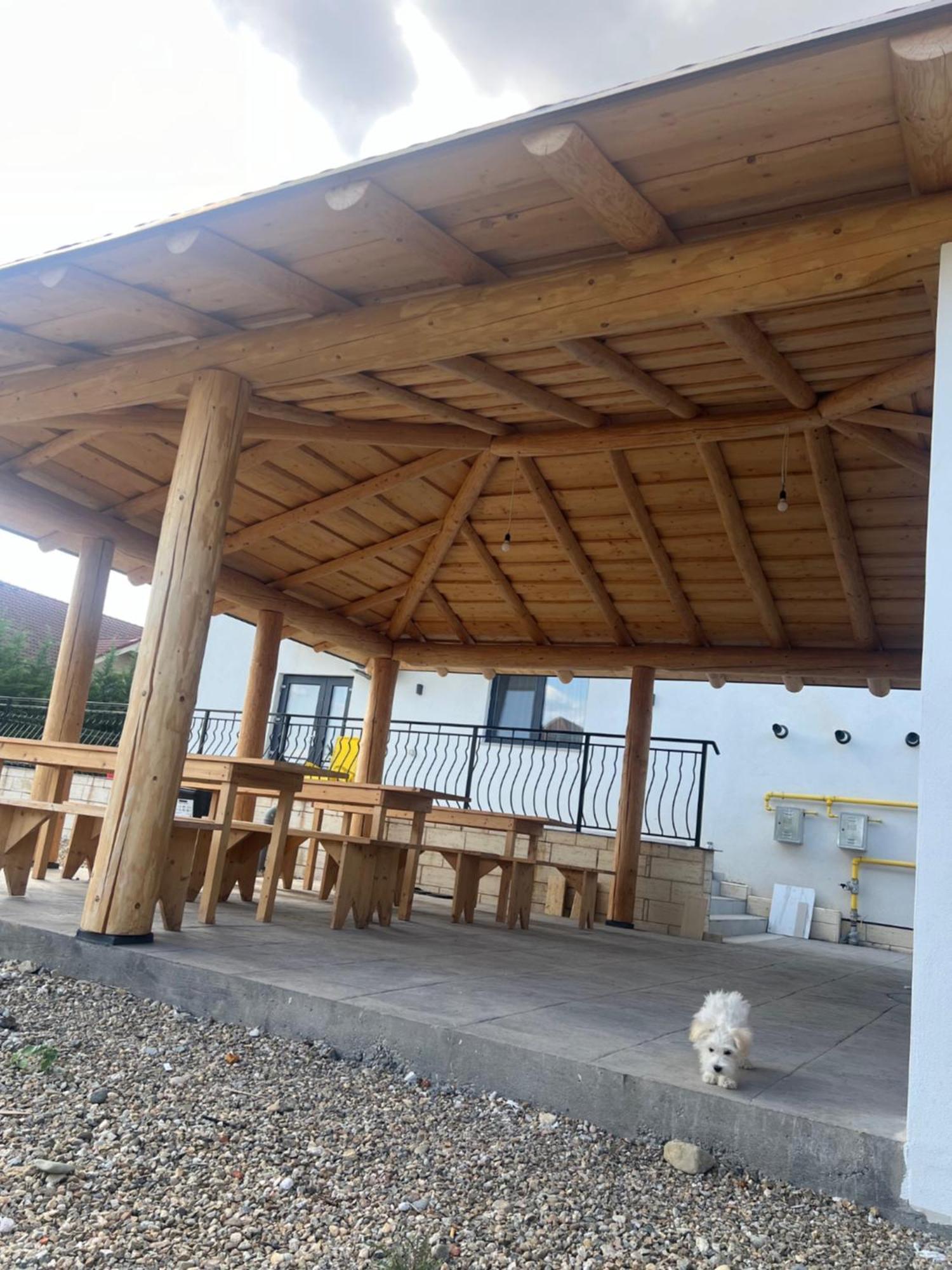 Villa Class Sînmartin Zewnętrze zdjęcie